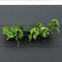 jardiniere murale polypropylene systeme darrosage intelligent default title 1 | jardinna