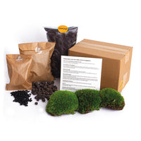 kit terrarium complet recharge demarrage diy mousse substrat naturels default title 17zm | jardinna