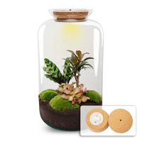 terrarium kit lucas xl palm jardin bouteille led 43 cm default title 46zt | jardinna