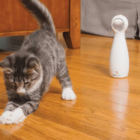 Petsafe Lumière Laser Automatique Frolicat Bolt Blanc