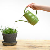 arrosoir vert metal bec long ergonomique 19 cm 1 35px | jardinna