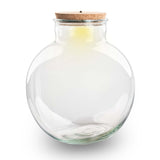 bocal verre bouchon led modele lucas led 30 cm 31 cm 2 54ri | jardinna