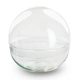globe verre terrarium ferme cloche verre 20 cm 20 cm 1 36tt | jardinna