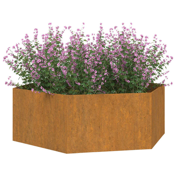 jardiniere acier corten hexagonale design rustique jardin 3 | jardinna