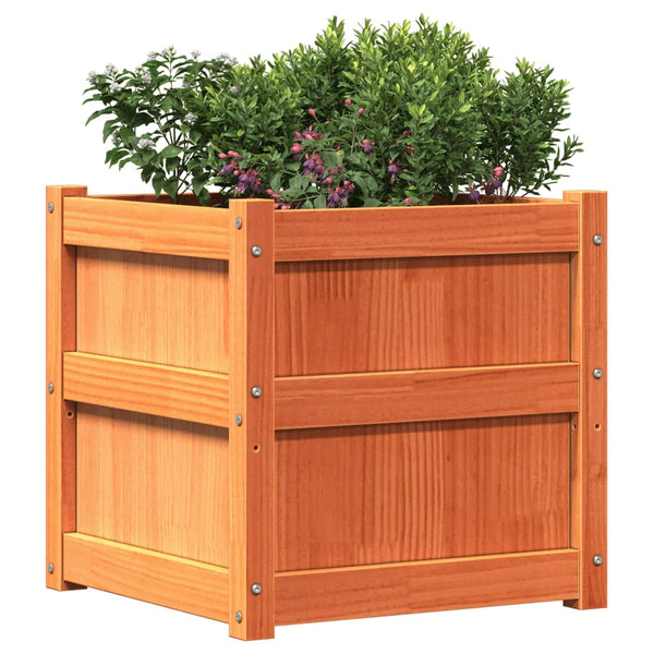 jardiniere bois massif structure robuste 50x50x50 cm 4 | jardinna
