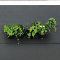jardiniere murale polypropylene systeme darrosage intelligent 6 | jardinna