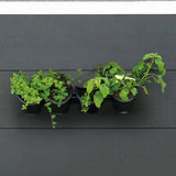 jardiniere murale polypropylene systeme darrosage intelligent 6 | jardinna