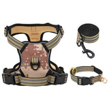 kit harnais collier laisse chien 2 | jardinna