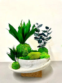 naturock composition vegetale stabilisee kokedama 1 | jardinna