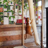 sac descalade chat sisal 180 cm meuble jeu pratique default title 1 | jardinna