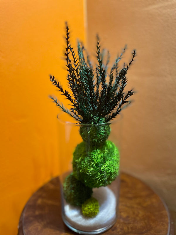 spheromeria kokedama interieur verre cryptomeria stabilise 1 | jardinna