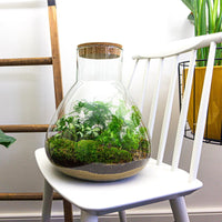 terrarium kit arthur xl jardin bouteille 35 cm 3 75em | jardinna