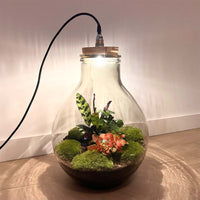 terrarium kit big paul jungle jardin bouteille 46 cm 3 | jardinna