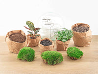 terrarium kit dome plantes vertes jardin bouteille 20 cm 1 | jardinna