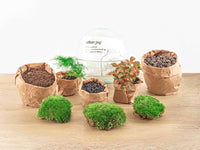 terrarium kit dome rouge jardin bouteille 20 cm 1 37th | jardinna