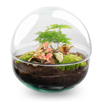 terrarium kit dome rouge jardin bouteille 20 cm default title 74nu | jardinna