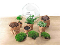 terrarium kit dome xl jardin bouteille 30 cm 2 18fw | jardinna