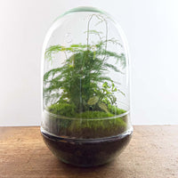 terrarium kit egg xl jardin bouteille 30 cm 2 26rx | jardinna