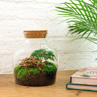 terrarium kit little mike jardin bouteille 21 cm 8 | jardinna