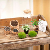 terrarium kit little rebecca jardin bouteille led 25 cm 5 | jardinna