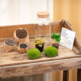 terrarium kit little rebecca jardin bouteille led 25 cm 6 | jardinna