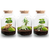 terrarium kit little rebecca jardin bouteille led 25 cm 7 59th | jardinna