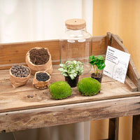 terrarium kit little rebecca jardin bouteille led 25 cm 7 | jardinna