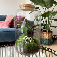 terrarium kit lucas xl led plantes botaniques jardin bouteille 43 cm 3 15qg | jardinna