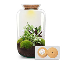 terrarium kit lucas xl led plantes botaniques jardin bouteille 43 cm default title 07gl | jardinna