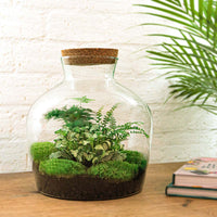 terrarium kit mike fat green jardin bouteille 30 cm 4 | jardinna