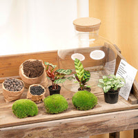 terrarium kit mike fat jardin bouteille 30 cm 3 | jardinna