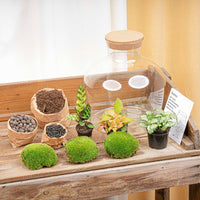 terrarium kit mike fat red jardin bouteille 30 cm 3 | jardinna