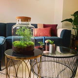 terrarium kit noel jardin bouteille 18 cm 28 cm 2 | jardinna