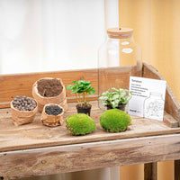terrarium kit rebecca coffea jardin bouteille led 31 cm 2 82yc | jardinna