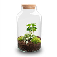terrarium kit rebecca coffea jardin bouteille led 31 cm 3 94vu | jardinna