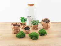 terrarium kit rebecca coffea jardin bouteille led 31 cm 4 95er | jardinna