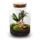 terrarium kit rebecca palm jardin bouteille 30 cm non 25ry | jardinna